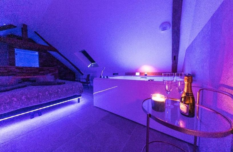 L'évasion-SPA-Hammam-Sauna Illimité - 2 à 4 pers Saint-Cyr-sur-Loire Exterior foto